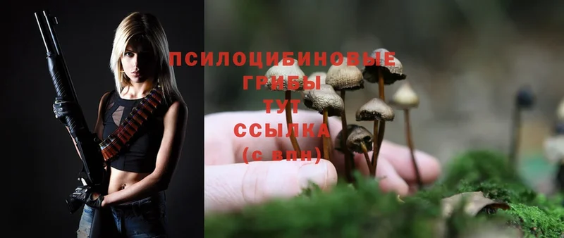 кракен рабочий сайт  как найти   Покровск  Галлюциногенные грибы MAGIC MUSHROOMS 